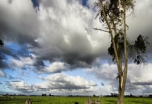 悟空游戏厅怎么样，值得下载吗？